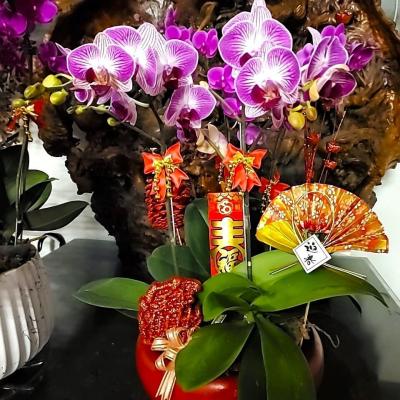 114年善信執事物供合集