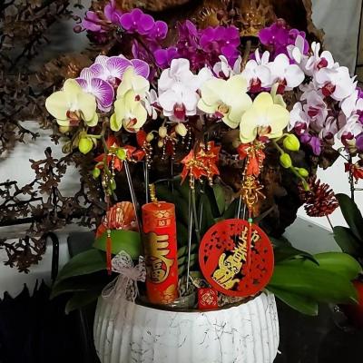 114年善信執事物供合集
