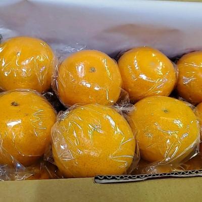 114年善信執事物供合集