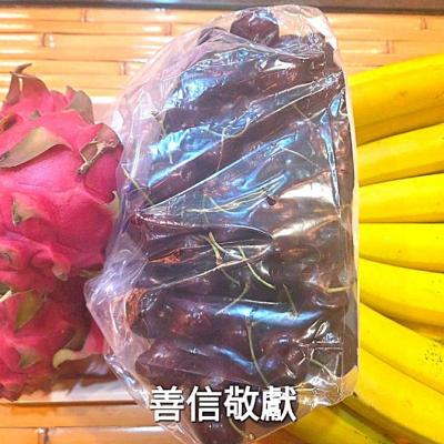 115年-善信執事物供合集